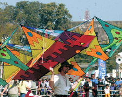 Kite Festival